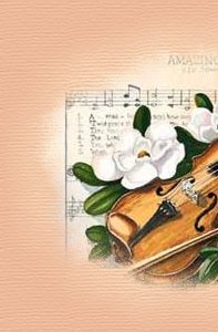 violin