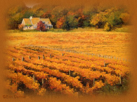 Field