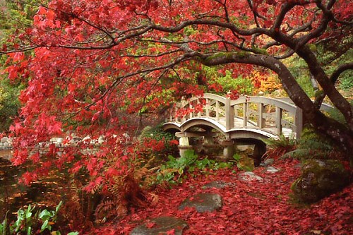 Photography by Don Paulson