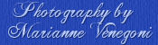 Artist Marianne Venegoni 
