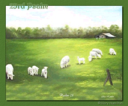 flock