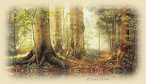trees