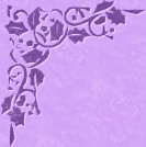 left top corner